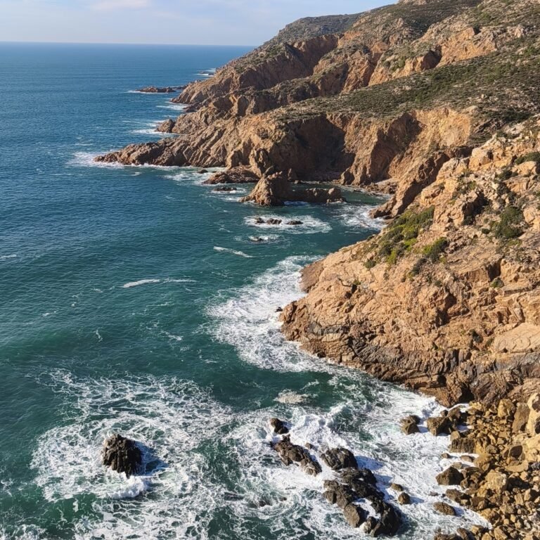 Dramatic rocky shoreline along the Atlantic Wild Hike trail.