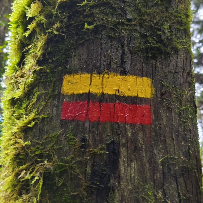 1747070574662