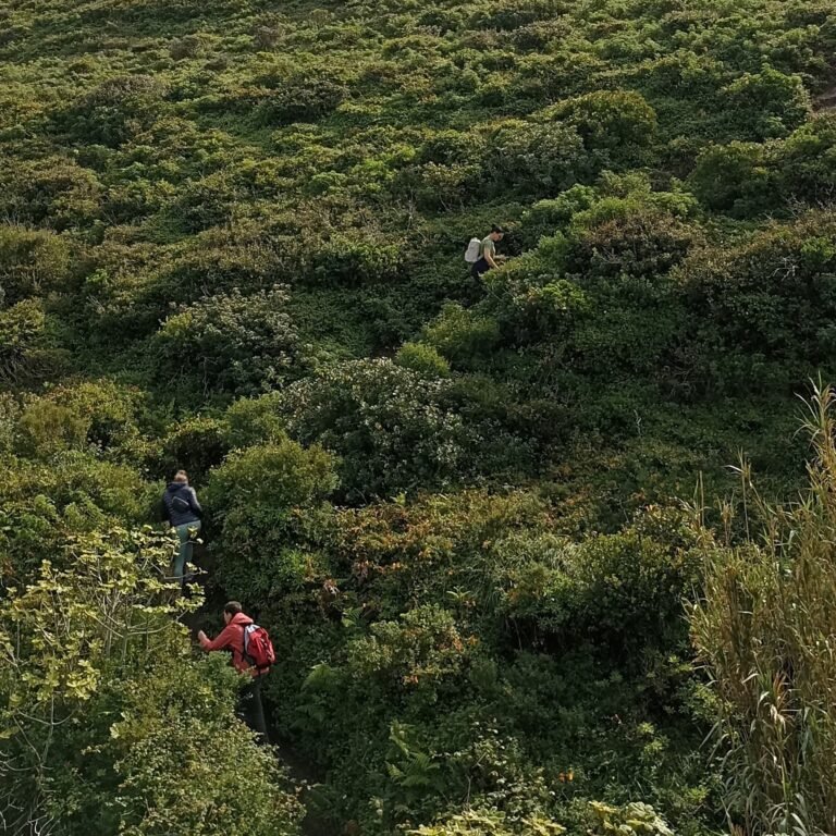 Hiker walking through coastal vegetation with ocean views on the Atlantic Wild Hike.