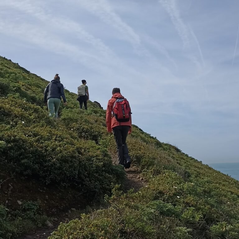 Walkers enjoying the panoramic cliffs during the Atlantic Wild Hike.