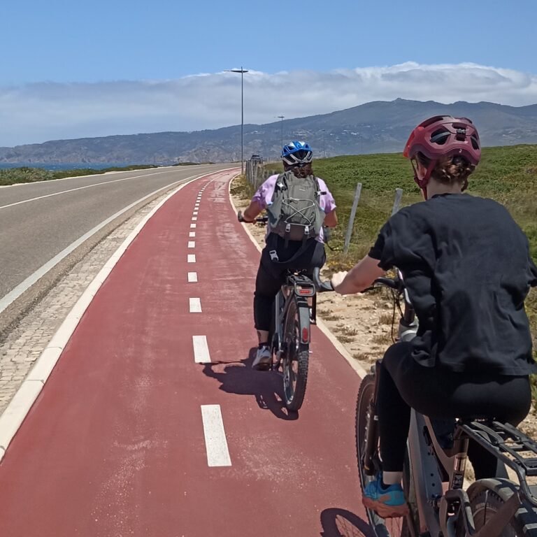 Cyclist riding on a road with tall, dense trees in Cascais