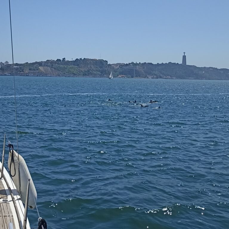 Sailboat view looking back at the wake on the blue waters of the Tagus River.