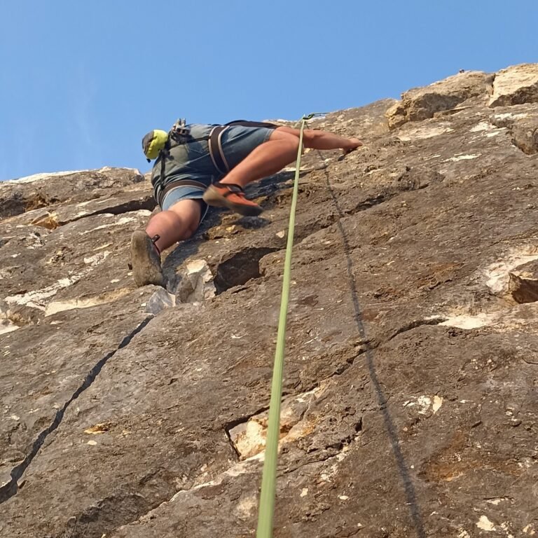 img 20240826 194449 5 4