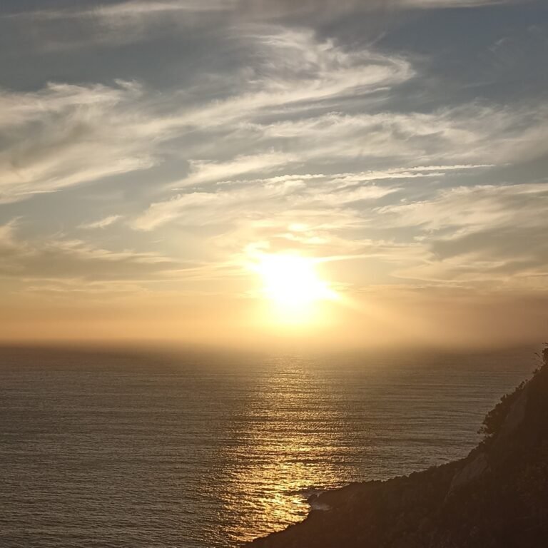 img 20240826 195646 5 4
