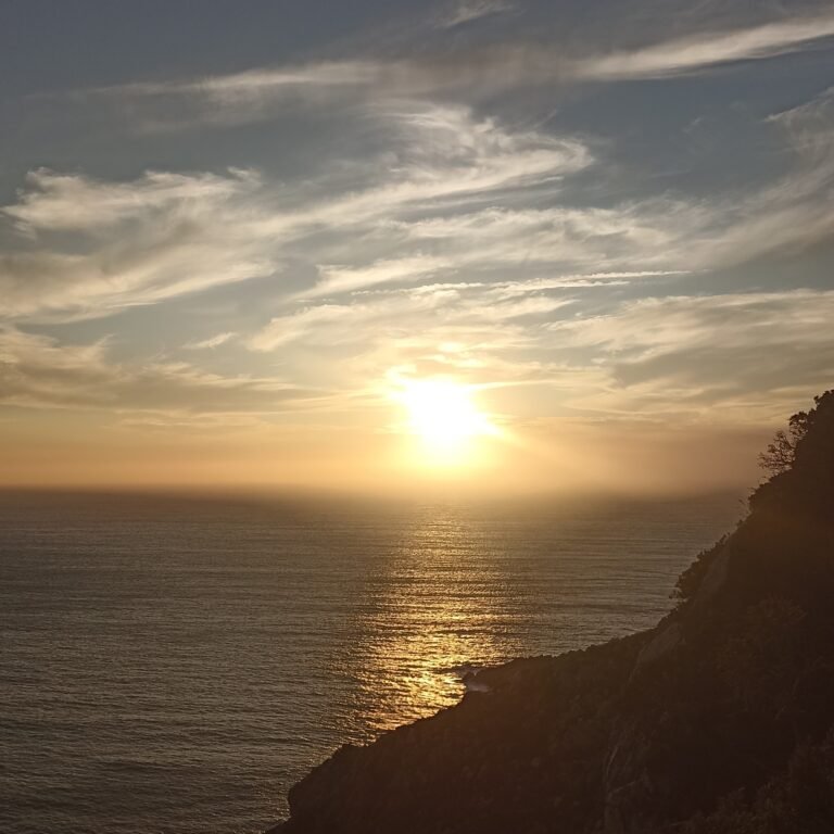 img 20240826 195646