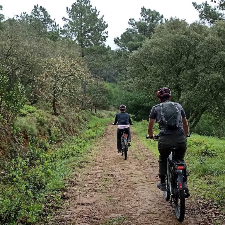 Cyclist riding a scenic road surrounded by lush greenery in Cascais.