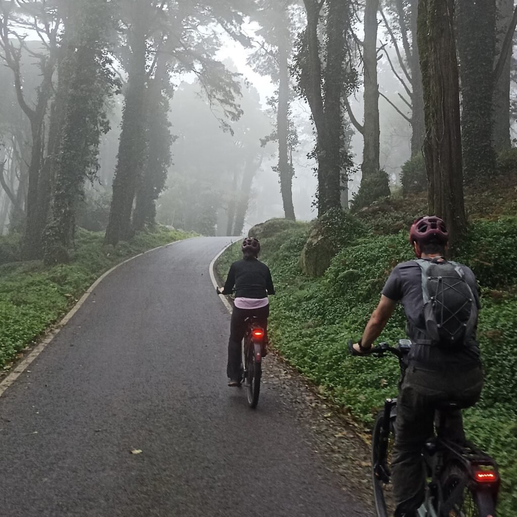 Cyclists exploring shaded forest trails in Sintra-Cascais Natural Park.