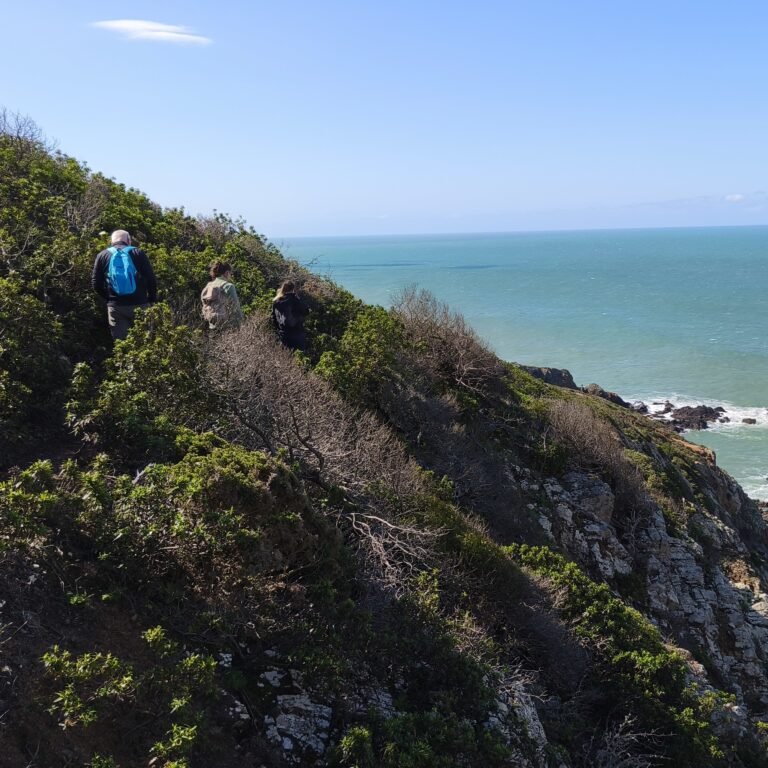 Clifftop scenery of the Atlantic coast in Sintra-Cascais Natural Park.