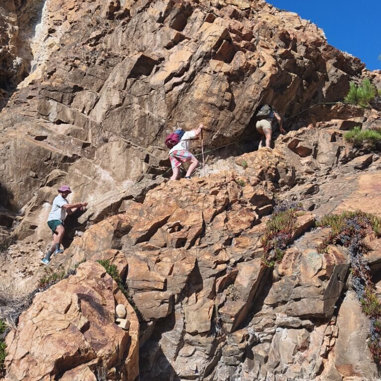 IMG_20250728_1823362