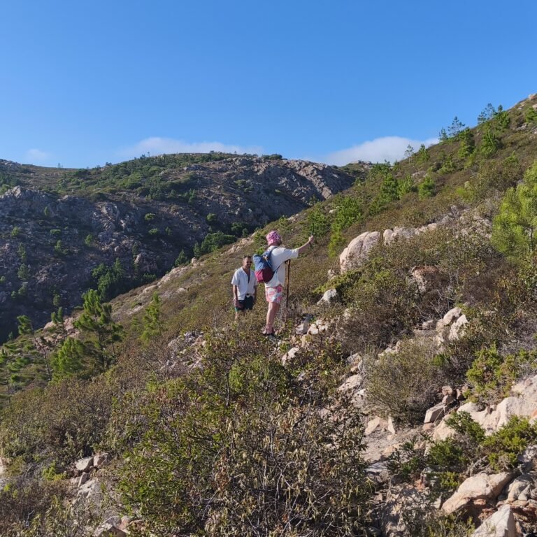 IMG_20250728_1834202