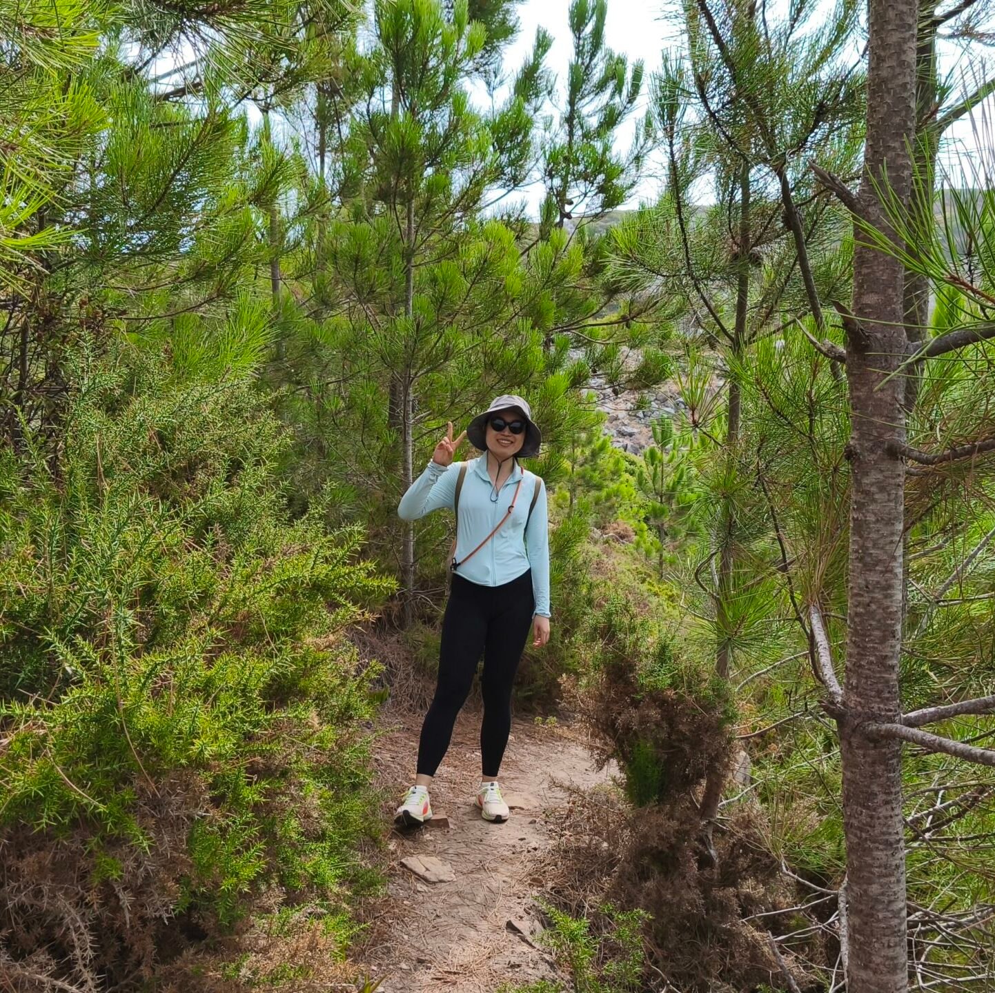 A tourist hiking through a green pine forest path leading towards the ocean in Cascais.